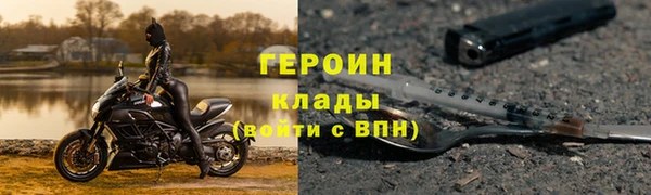 индика Бородино