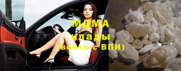 индика Бородино