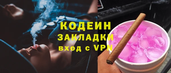 индика Бородино