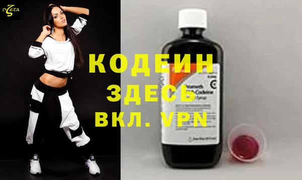 индика Бородино