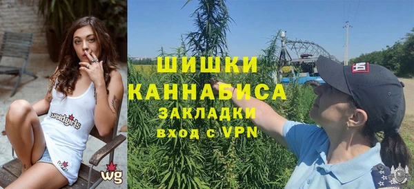 крисы Бугульма