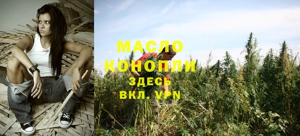 индика Бородино