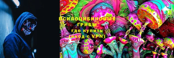 индика Бородино