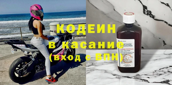 индика Бородино