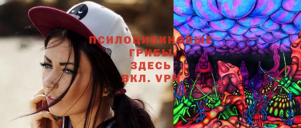 индика Бородино