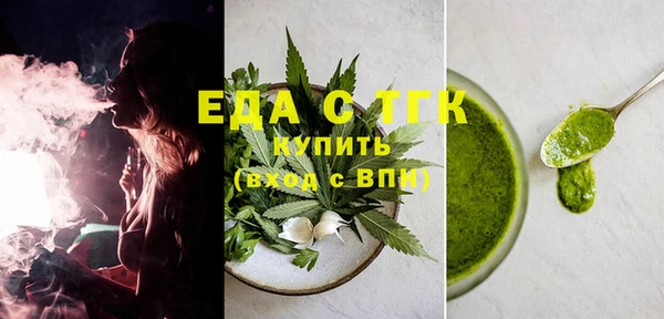 индика Бородино