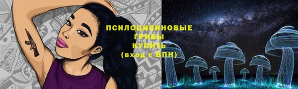 крисы Бугульма