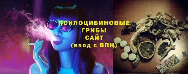 индика Бородино