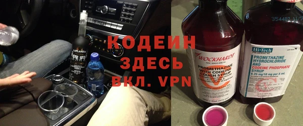 индика Бородино