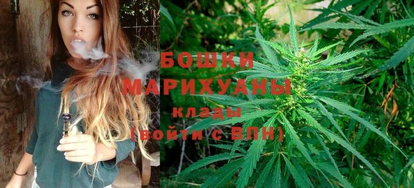индика Бородино