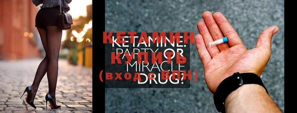 индика Бородино